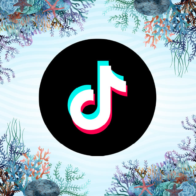 TikTok Ordrevideo